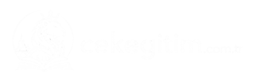 Çekya Üniversite Eğitimi